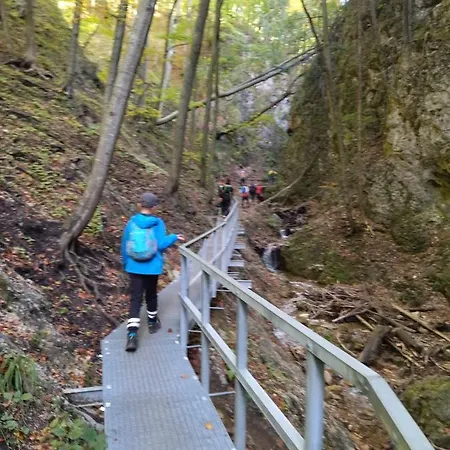 Smrekovica Chalet Liptovsky Jan