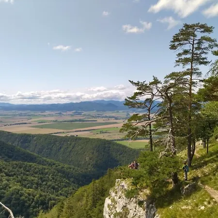 Smrekovica