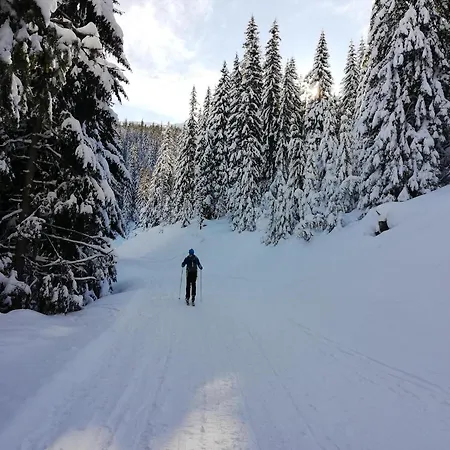Alpstuga Smrekovica *
